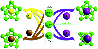 Graphical abstract: A systematic study of halide-template effects in the assembly of lanthanide hydroxide cluster complexes with histidine