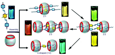 Graphical abstract: Fluorescence visualization of cucurbit[8]uril-triggered dynamic host–guest assemblies