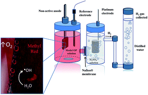 Graphical abstract: Cathodic hydrogen production by simultaneous oxidation of methyl red and 2,4-dichlorophenoxyacetate aqueous solutions using Pb/PbO2, Ti/Sb-doped SnO2 and Si/BDD anodes. Part 1: electrochemical oxidation