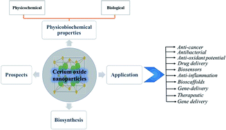 Graphical abstract: Cerium oxide nanoparticles: properties, biosynthesis and biomedical application