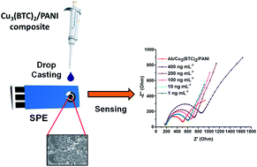 Graphical abstract: Sensitive impedimetric detection of troponin I with metal–organic framework composite electrode