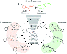 Graphical abstract: The design, synthesis, and in vitro trypanocidal and leishmanicidal activities of 1,3-thiazole and 4-thiazolidinone ester derivatives