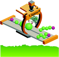 Graphical abstract: Recent advances in the synthesis of biodegradable polyesters by sustainable polymerization: lipase-catalyzed polymerization