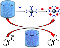 Graphical abstract: Turning over on sticky balls: preparation and catalytic studies of surface-functionalized TiO2 nanoparticles