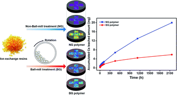 Graphical abstract: Effect of ion exchange resin particle size on homogeneity and leachability of Cs and Co in polymer waste form