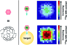 Graphical abstract: Cryptophane–xenon complexes for 129Xe MRI applications