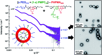 Graphical abstract: Enthalpic incompatibility between two steric stabilizer blocks provides control over the vesicle size distribution during polymerization-induced self-assembly in aqueous media