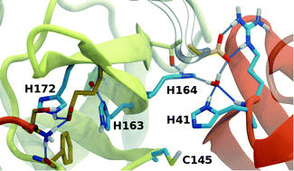 Graphical abstract: Inhibitor binding influences the protonation states of histidines in SARS-CoV-2 main protease