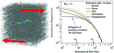 Graphical abstract: Primitive chain network simulations for the interrupted shear response of entangled polymeric liquids