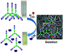 Graphical abstract: A C3-symmetrical tripodal acylhydrazone organogelator for the selective recognition of cyanide ions in the gel and solution phases: practical applications in food samples
