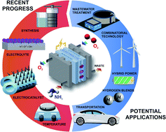 Graphical abstract: Recent progress in ammonia fuel cells and their potential applications