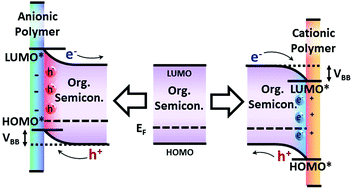 Graphical abstract: Ionic moieties in organic and hybrid semiconducting devices: influence on energy band structures and functions