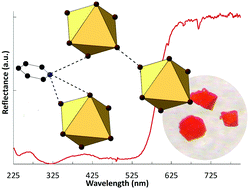 Graphical abstract: Impact of noncovalent interactions on structural and photophysical properties of zero-dimensional tellurium(iv) perovskites