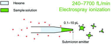 Graphical abstract: Conducting and characterizing femto flow electrospray ionization