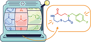 Graphical abstract: Synthesis of medium-ring lactams and macrocyclic peptide mimetics via conjugate addition/ring expansion cascade reactions