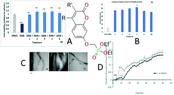 Graphical abstract: Umbelliferyloxymethyl phosphonate compounds-weakly binding zinc ionophores with neuroprotective properties