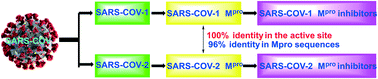 Graphical abstract: A review of the latest research on Mpro targeting SARS-COV inhibitors