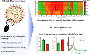 Graphical abstract: Predictive high-throughput screening of PEGylated lipids in oligonucleotide-loaded lipid nanoparticles for neuronal gene silencing