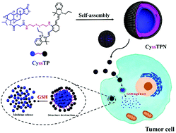 Graphical abstract: A glutathione-activated carrier-free nanodrug of triptolide as a trackable drug delivery system for monitoring and improving tumor therapy