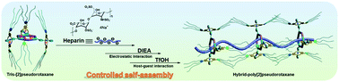 Graphical abstract: A multi-responsive supramolecular heparin-based biohybrid metallogel constructed by controlled self-assembly based on metal–ligand, host–guest and electrostatic interactions