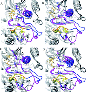 Graphical abstract: The functional regulatory details of ERK2 in complex with RSK1: an in silico insight