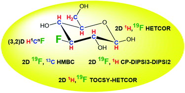 Graphical abstract: 19F-centred NMR analysis of mono-fluorinated compounds