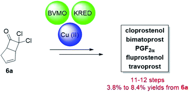 Graphical abstract: A unified strategy to prostaglandins: chemoenzymatic total synthesis of cloprostenol, bimatoprost, PGF2α, fluprostenol, and travoprost guided by biocatalytic retrosynthesis