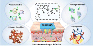 Graphical abstract: Nitric oxide-releasing poly(ionic liquid)-based microneedle for subcutaneous fungal infection treatment