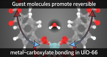 Graphical abstract: Guest-dependent bond flexibility in UiO-66, a “stable” MOF