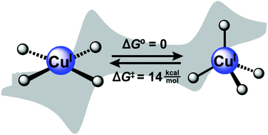 Graphical abstract: Conformationally dynamic copper coordination complexes