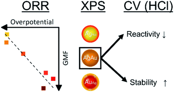 Graphical abstract: Disproportional surface segregation in ligand-free gold–silver alloy solid solution nanoparticles, and its implication for catalysis and biomedicine