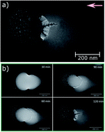 Graphical abstract: Low temperature 2D GaN growth on Si(111) 7 × 7 assisted by hyperthermal nitrogen ions