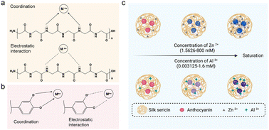 Graphical abstract: Fabrication of silk sericin–anthocyanin nanocoating for chelating and saturation-visualization detection of metal ions