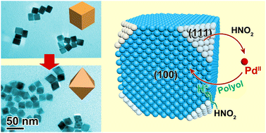 Graphical abstract: Efficient shape transformation of palladium nanocrystals by biphasic oxidative etching and regrowth