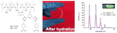 Graphical abstract: Luminescent (metallo-supramolecular) cross-linked lanthanide hydrogels from a btp (2,3-bis(1,2,3-triazol-4-yl)picolinamide) monomer give rise to strong Tb(iii) and Eu(iii) centred emissions