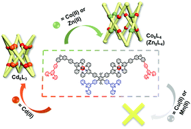 Graphical abstract: Metal ion determined self-assembly using terpyridine building blocks