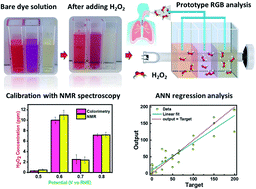 Graphical abstract: A smartphone-interfaced, low-cost colorimetry biosensor for selective detection of bronchiectasis via an artificial neural network