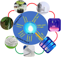 Graphical abstract: Fabrication of white light emitting diodes via high yield surface passivated carbon quantum dots doped with terbium