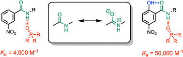 Graphical abstract: H-bond cooperativity: polarisation effects on secondary amides