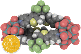 Graphical abstract: A photo-switchable molecular capsule: sequential photoinduced processes