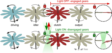 Graphical abstract: Plasticized liquid crystal networks and chemical motors for the active control of power transmission in mechanical devices