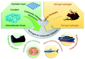 Graphical abstract: Hydrogels for underwater adhesion: adhesion mechanism, design strategies and applications
