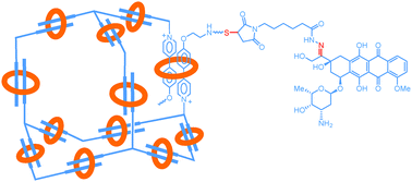 Graphical abstract: Conjugating aldoxorubicin to supramolecular organic frameworks: polymeric prodrugs with enhanced therapeutic efficacy and safety