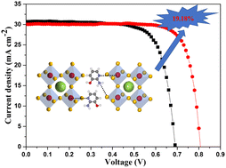 Graphical abstract: Bifunctional additive 2-amino-3-hydroxypyridine for stable and high-efficiency tin–lead perovskite solar cells