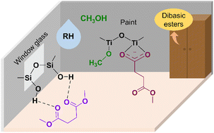 Graphical abstract: Heterogeneous interactions and transformations of dibasic esters with indoor relevant surfaces