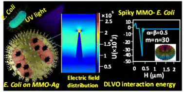 Graphical abstract: Self-cleaning formulations of mixed metal oxide-silver micro-nano structures with spiky coronae as antimicrobial coatings for fabrics and surfaces