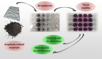 Graphical abstract: In vitro assessment of skin irritation and corrosion properties of graphene-related materials on a 3D epidermis