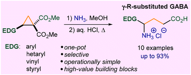 Graphical abstract: Concise approach to γ-(het)aryl- and γ-alkenyl-γ-aminobutyric acids. Synthesis of vigabatrin