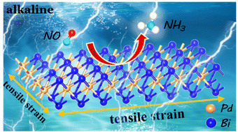 Graphical abstract: The β-PdBi2 monolayer for efficient electrocatalytic NO reduction to NH3: a computational study