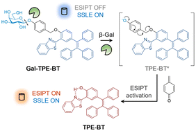 Graphical abstract: Ratiometric sensing of β-galactosidase based on excited-state intramolecular proton transfer (ESIPT) and solid-state luminescence enhancement